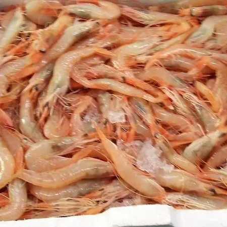 Ristorante Antica Marina